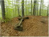 Idrija - Hleviška planina